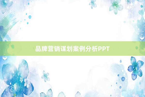 品牌营销谋划案例分析PPT