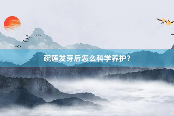 碗莲发芽后怎么科学养护？