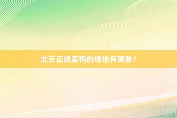 北京正规卖狗的场地有哪些？