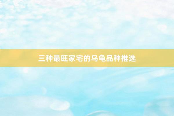 三种最旺家宅的乌龟品种推选