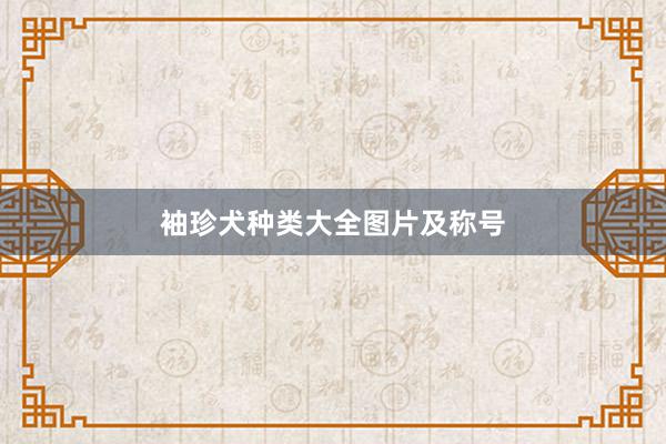 袖珍犬种类大全图片及称号