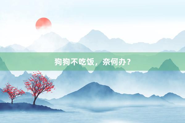 狗狗不吃饭，奈何办？